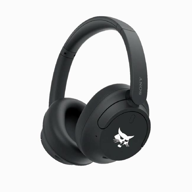 SONY Wireless Headphones