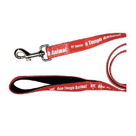 Dog Leash