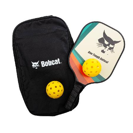 Graphite Pickleball Set